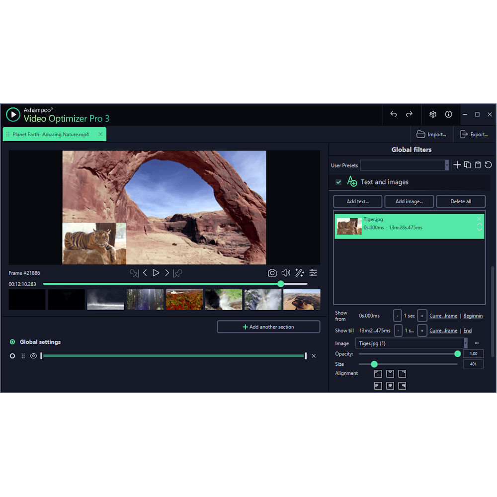 Ashampoo Video Optimizer Pro 3