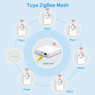 LoraTap 16A Power Plastic Remote Voice Control Plug Switch