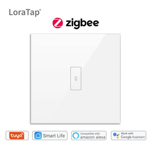 LoraTap 20A Plastic Panel Voice Control Water Heater Wall Switch