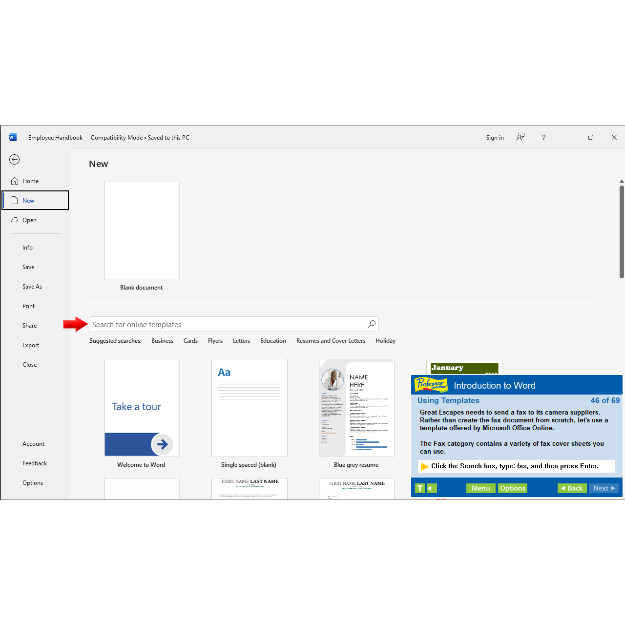 Professor Teaches Office 2021 & Windows 11