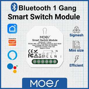 Moes Plastic Panel Bluetooth Smart Light Breaker Switch Module