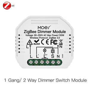 Moes Plastic Smart Voice Control Universal Switch Module