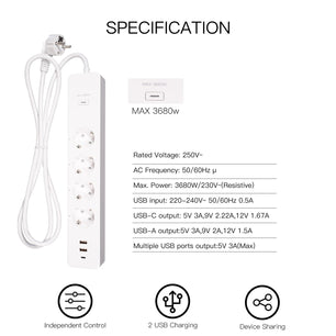 Moes Plastic Panel WIFI USB Voice Control Smart Power Socket