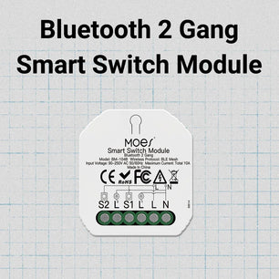 Moes Plastic Panel Bluetooth Smart Light Breaker Switch Module