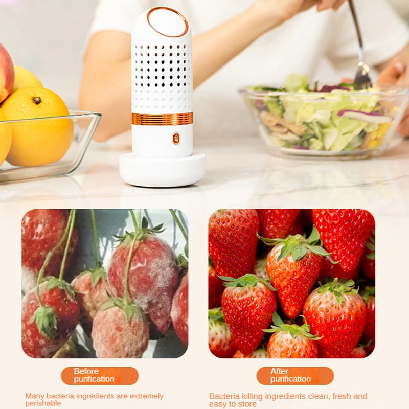 Fruit Vegetable Wireless Time Control Portable Washing Machine