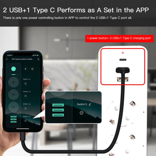 Moes Plastic Panel WIFI USB Voice Control Smart Power Socket