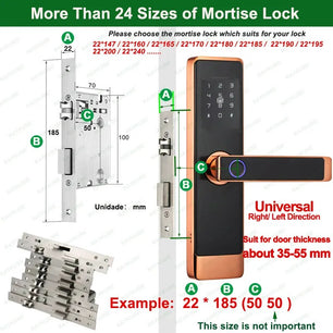 RayKube Aluminium Alloy Fingerprint Digital Smart Door Lock